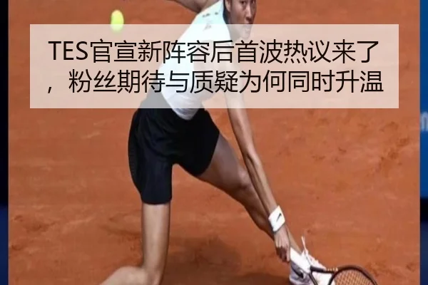 TES官宣新阵容后首波热议来了，粉丝期待与质疑为何同时升温（maiqiuzhan）